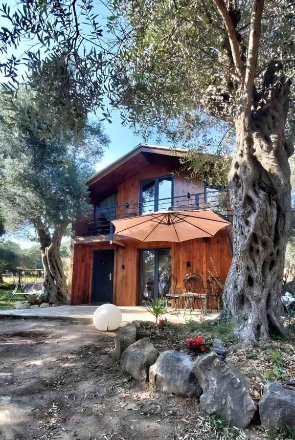 Coratina Cottage Ulcinj Bagian luar foto